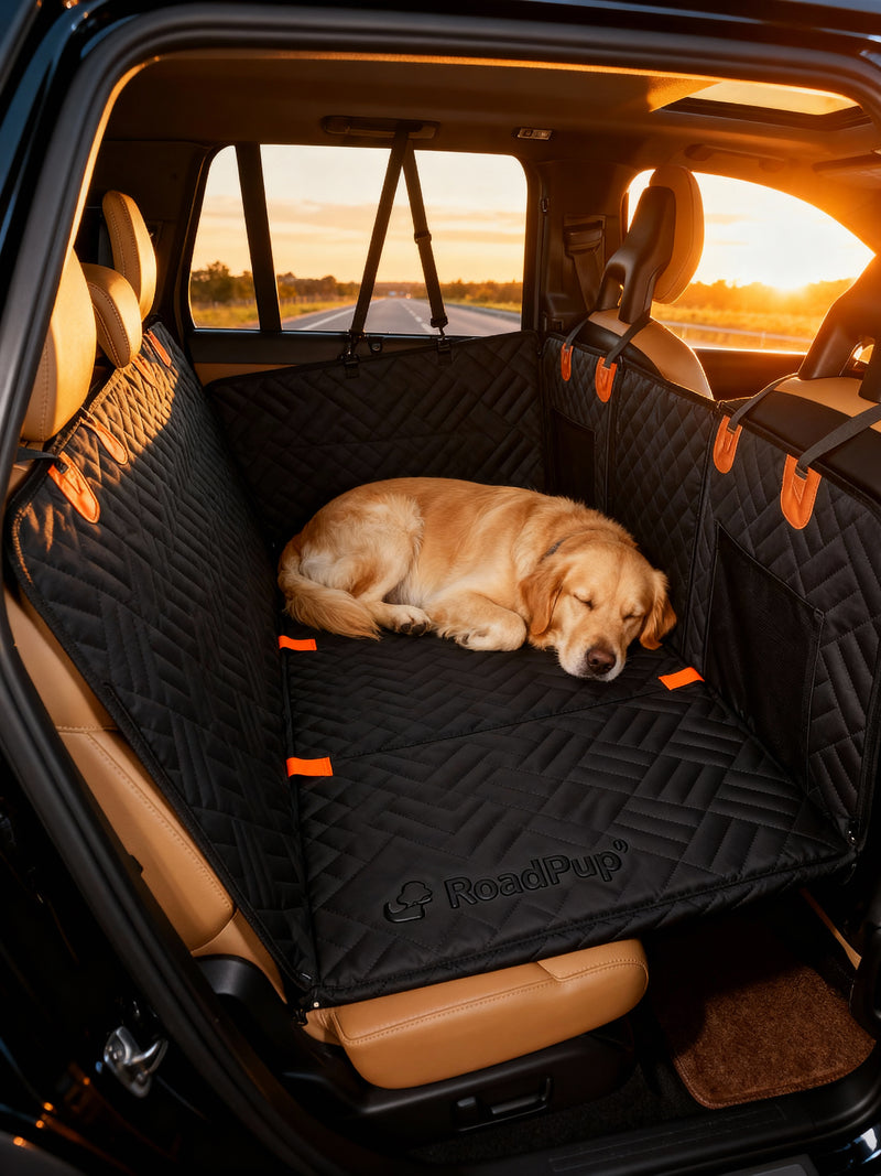 They settle. You drive. That tail wags.