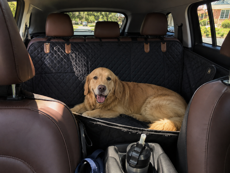 They settle. You drive. That tail wags.